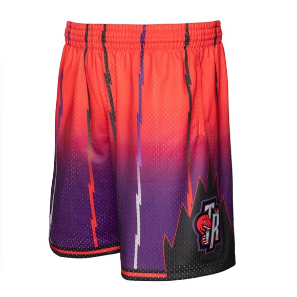 Toronto Raptors Mitchell & Ness 98/99 Hardwood Classics Fadeaway Swingman Shorts - Picture 2 of 4